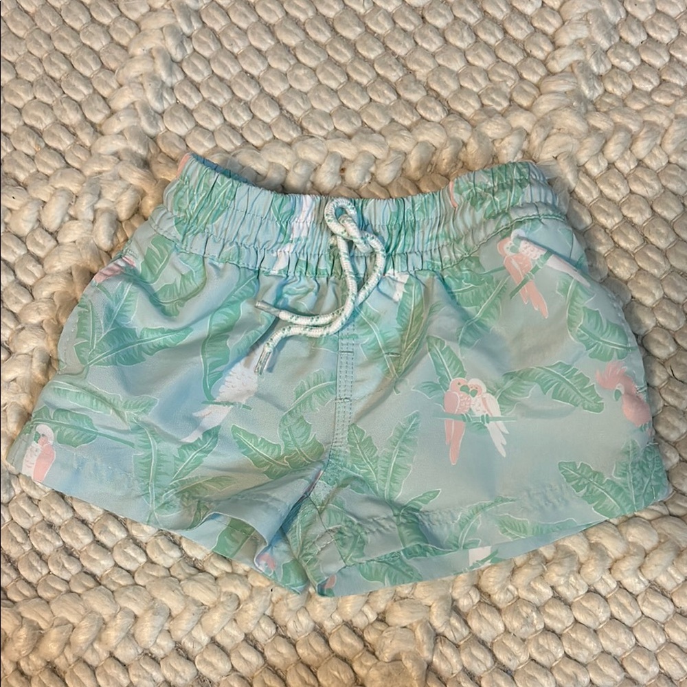 The Beaufort Bonnet Company Kids Swim Trunks - Green and Pink Parrot Print